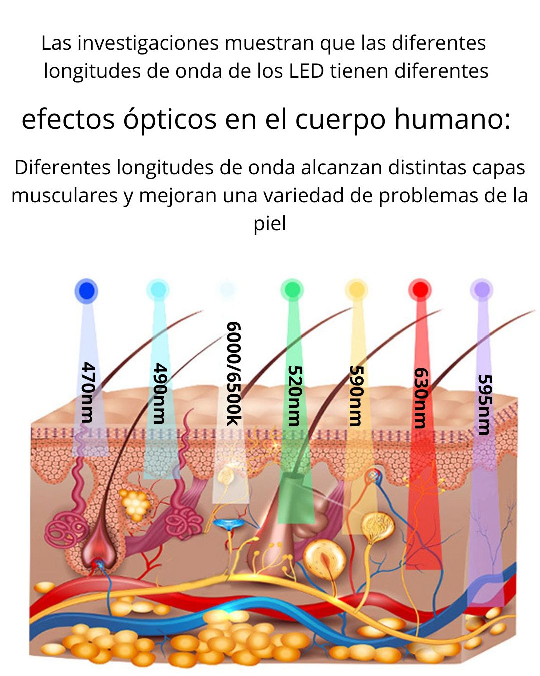 Máscara facial LED